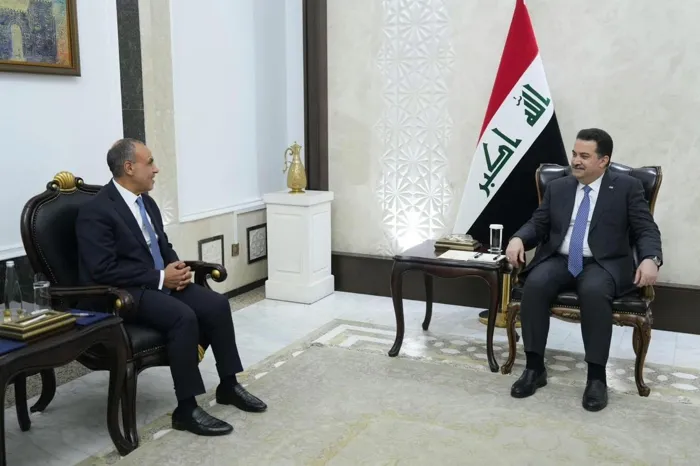 وزير الخارجية المصري يؤكد سعي بلاده لخفض التصعيد في المنطقة