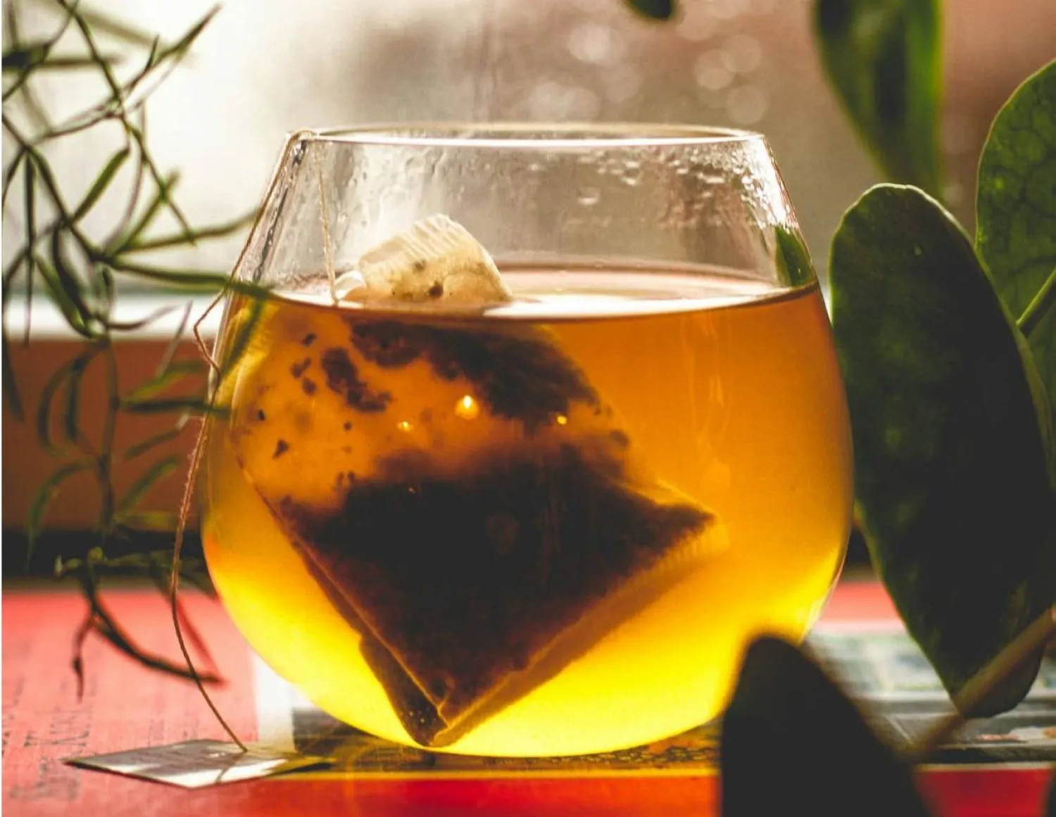 أكياس الشاي قد تطلق مليارات جزيئات الميكروبلاستيك… ما البدائل الأكثر أماناً؟