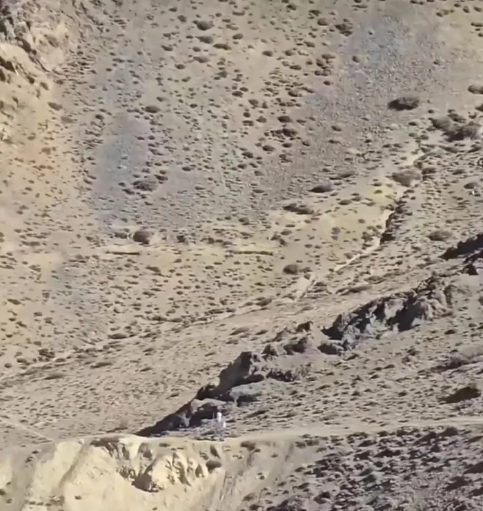 مقاطع متداولة تثير الجدل.. روبوتات غامضة على الحدود الصينية الهندية